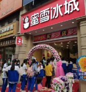 <strong>蜜雪冰城加盟模式分为单店加盟以及区域代理</strong>
